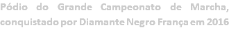 Pódio do Grande Campeonato de Marcha, conquistado por Diamante Negro França em 2016
