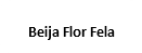 Beija Flor Fela