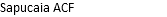 Sapucaia ACF