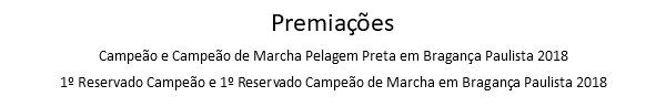 Premiações Campeão e Campeão de Marcha Pelagem Preta em Bragança Paulista 2018 1º Reservado Campeão e 1º Reservado Campeão de Marcha em Bragança Paulista 2018